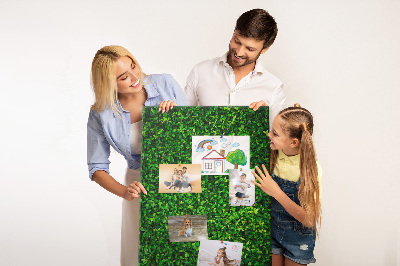 Pizarra de corcho decorativa muro verde denso y frondoso