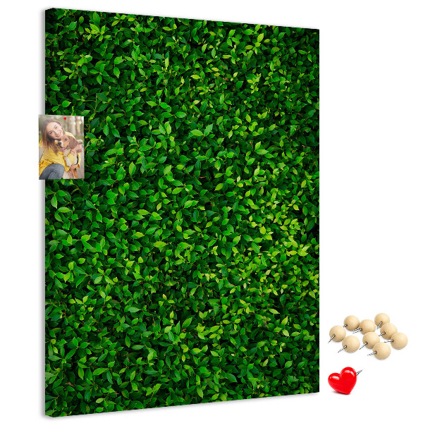Pizarra de corcho decorativa muro verde denso y frondoso