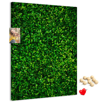 Pizarra de corcho decorativa muro verde denso y frondoso