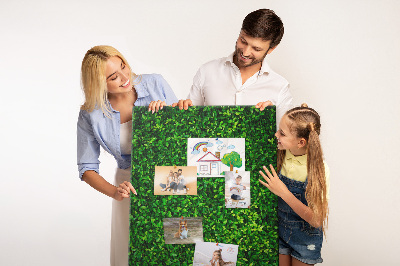 Pizarra de corcho decorativa muro verde denso y frondoso