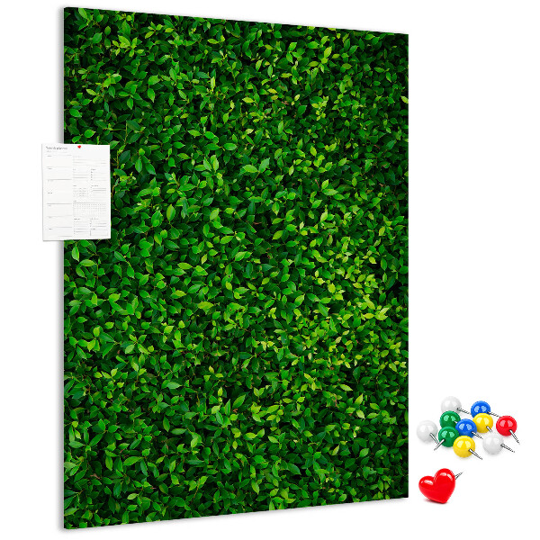 Pizarra de corcho decorativa muro verde denso y frondoso