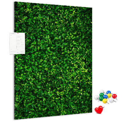 Pizarra de corcho decorativa muro verde denso y frondoso