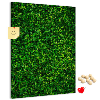 Pizarra de corcho decorativa muro verde denso y frondoso