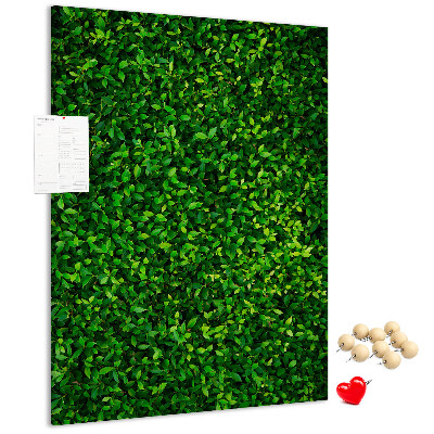 Pizarra de corcho decorativa muro verde denso y frondoso