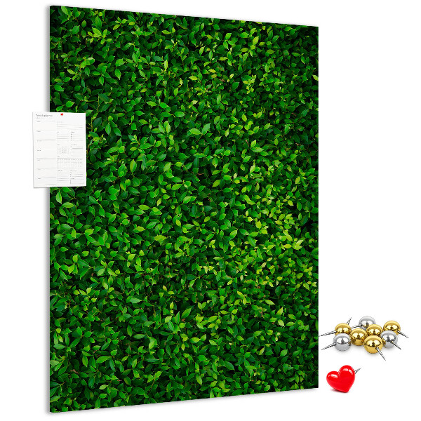Pizarra de corcho decorativa muro verde denso y frondoso
