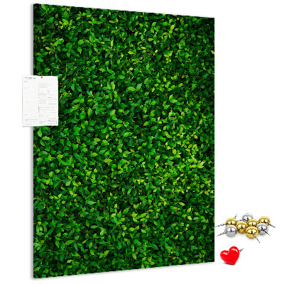 Pizarra de corcho decorativa muro verde denso y frondoso