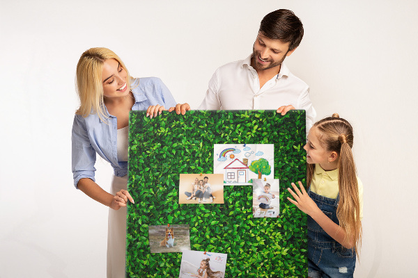 Pizarra de corcho decorativa muro verde denso y frondoso