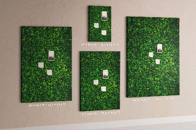 Pizarra de corcho decorativa muro verde denso y frondoso