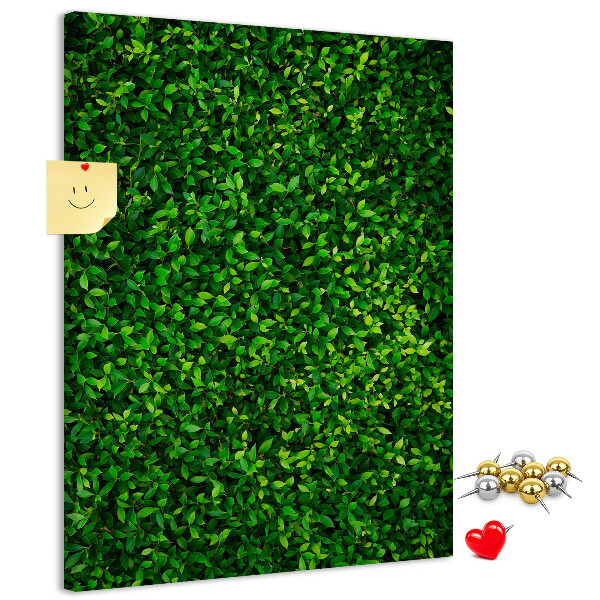 Pizarra de corcho decorativa muro verde denso y frondoso