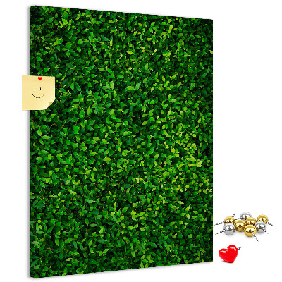 Pizarra de corcho decorativa muro verde denso y frondoso