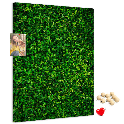 Pizarra de corcho decorativa muro verde denso y frondoso