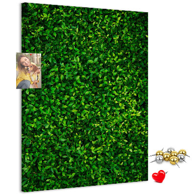 Pizarra de corcho decorativa muro verde denso y frondoso