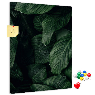 Tablero de corcho Hojas verdes sobre un fondo oscuro