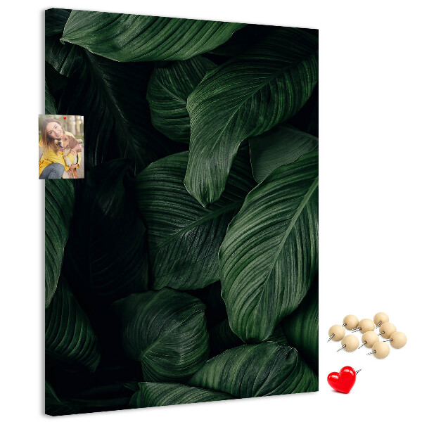 Tablero de corcho Hojas verdes sobre un fondo oscuro
