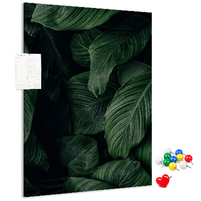 Tablero de corcho Hojas verdes sobre un fondo oscuro
