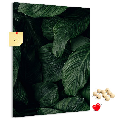 Tablero de corcho Hojas verdes sobre un fondo oscuro