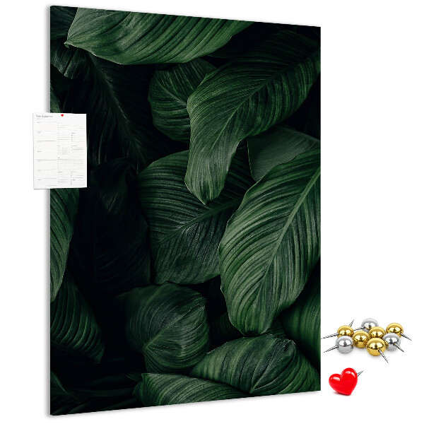 Tablero de corcho Hojas verdes sobre un fondo oscuro