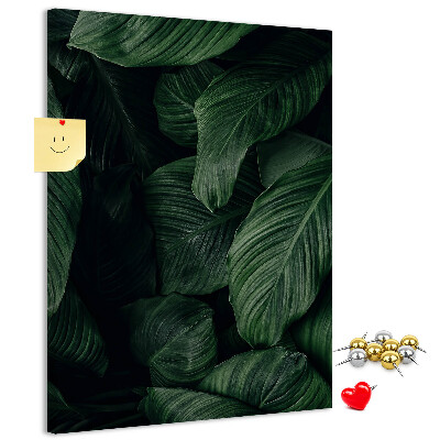 Tablero de corcho Hojas verdes sobre un fondo oscuro