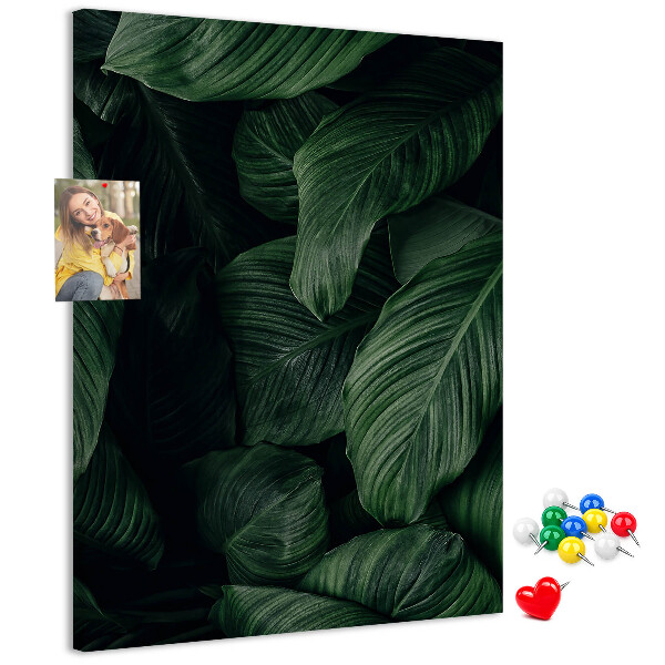 Tablero de corcho Hojas verdes sobre un fondo oscuro