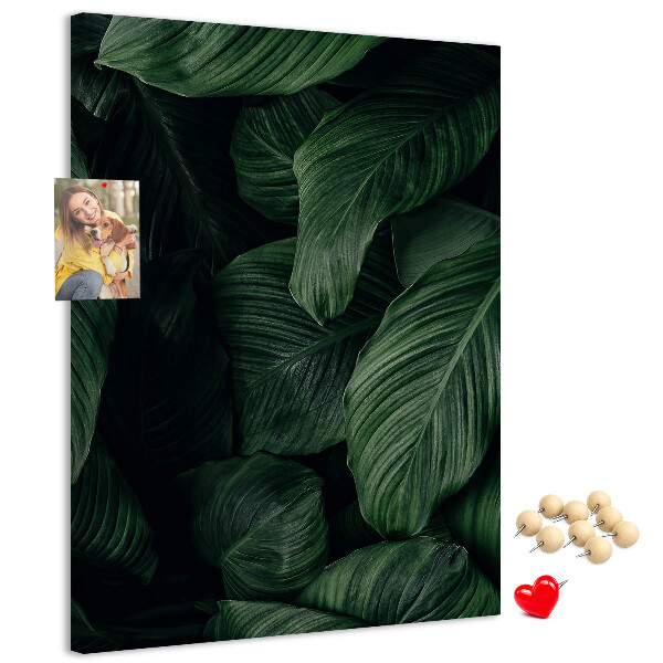 Tablero de corcho Hojas verdes sobre un fondo oscuro