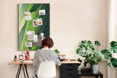 Pizarra de corcho decorativa con diseño de ondas de hojas verdes en tonos sutiles