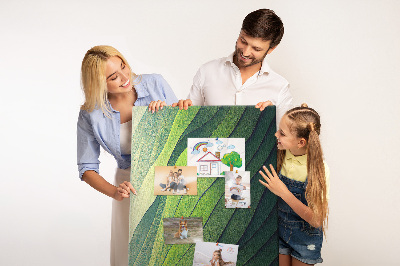 Pizarra de corcho decorativa con diseño de ondas de hojas verdes en tonos sutiles