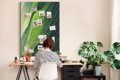 Pizarra de corcho decorativa con diseño de ondas de hojas verdes en tonos sutiles
