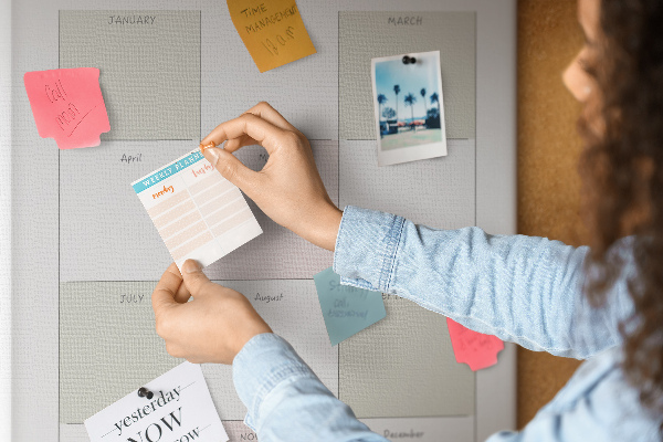 Tablero de corcho para pared con diseño minimalista de agenda anual