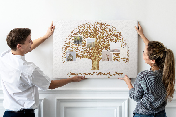 Tablero de anuncios Un árbol genealógico con ramas ramificadas