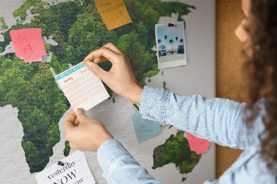 Tablero de corcho decorado Mapa mundial verde con vegetación