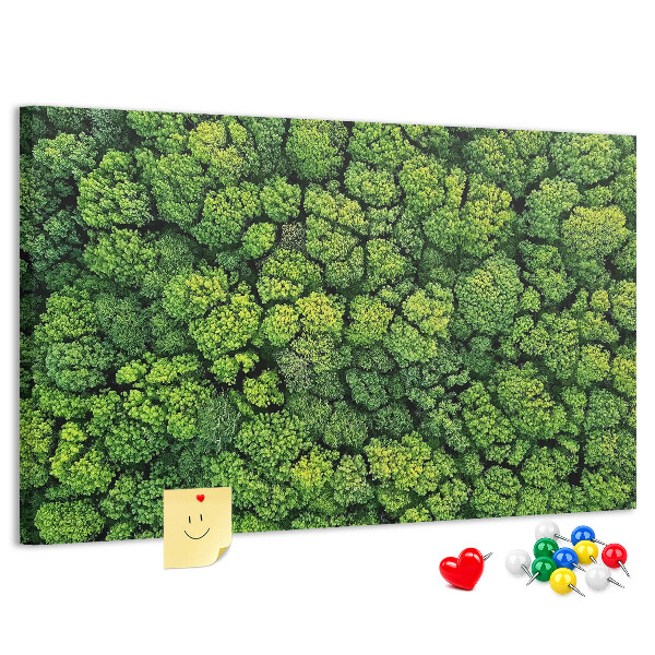 Tablero de anuncios Un bosque verde con vegetación densa