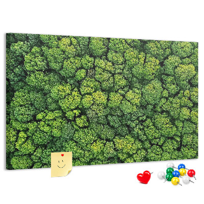 Tablero de anuncios con diseño de bosque verde de vegetación densa