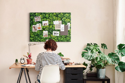 Tablero de anuncios Un bosque verde con vegetación densa