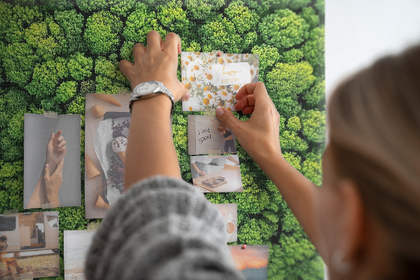 Tablero de anuncios Un bosque verde con vegetación densa