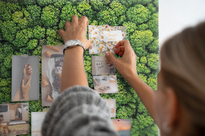 Tablero de anuncios Un bosque verde con vegetación densa