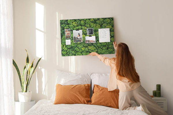 Tablero de anuncios Un bosque verde con vegetación densa