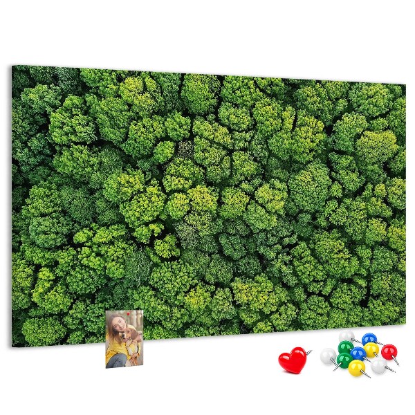 Tablero de anuncios Un bosque verde con vegetación densa