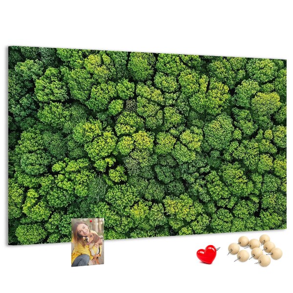 Tablero de anuncios Un bosque verde con vegetación densa