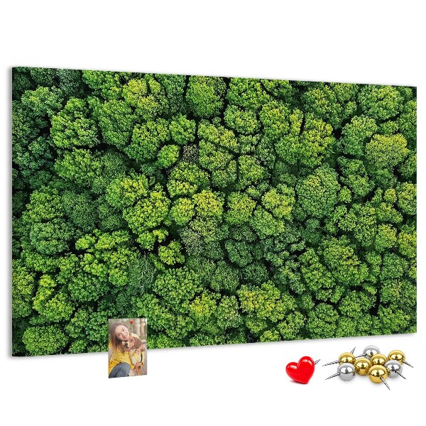 Tablero de anuncios Un bosque verde con vegetación densa