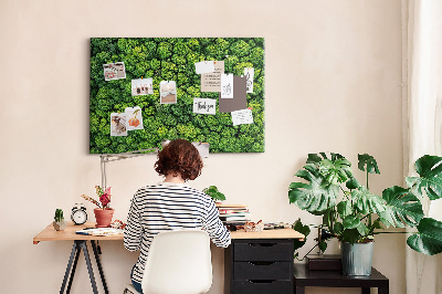 Tablero de anuncios Un bosque verde con vegetación densa