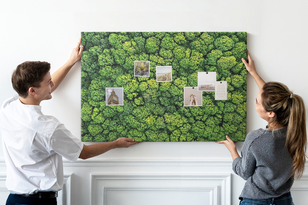 Tablero de anuncios Un bosque verde con vegetación densa