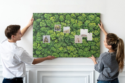 Tablero de anuncios Un bosque verde con vegetación densa