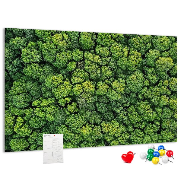 Tablero de anuncios Un bosque verde con vegetación densa