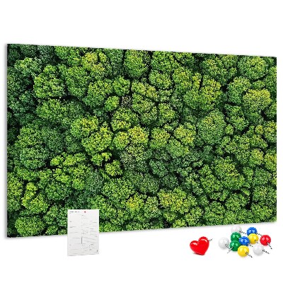 Tablero de anuncios Un bosque verde con vegetación densa