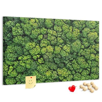 Tablero de anuncios Un bosque verde con vegetación densa