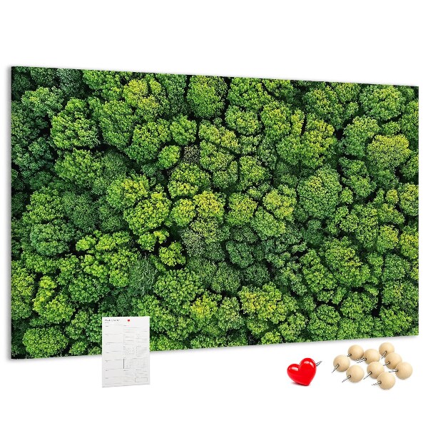 Tablero de anuncios Un bosque verde con vegetación densa