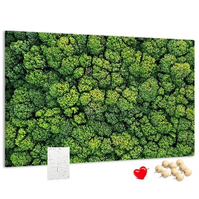 Tablero de anuncios Un bosque verde con vegetación densa