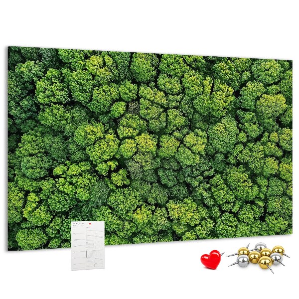 Tablero de anuncios Un bosque verde con vegetación densa
