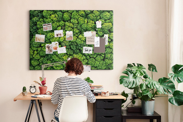 Tablero de anuncios Un bosque verde con vegetación densa