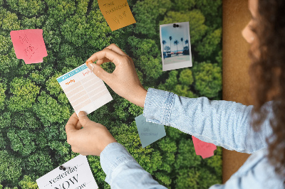 Tablero de anuncios Un bosque verde con vegetación densa